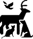75402060_708485612992213_436657918410175