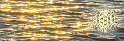 AdobeStock_107540403.jpeg