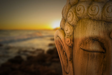 AdobeStock_315681973.jpeg