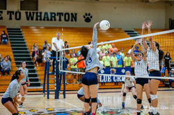 Vball Cover Photo 2