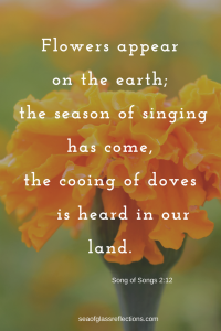 Song of Songs