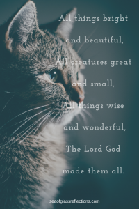 All things great and small