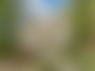 Boehm Nolen Listing featured in New York Times