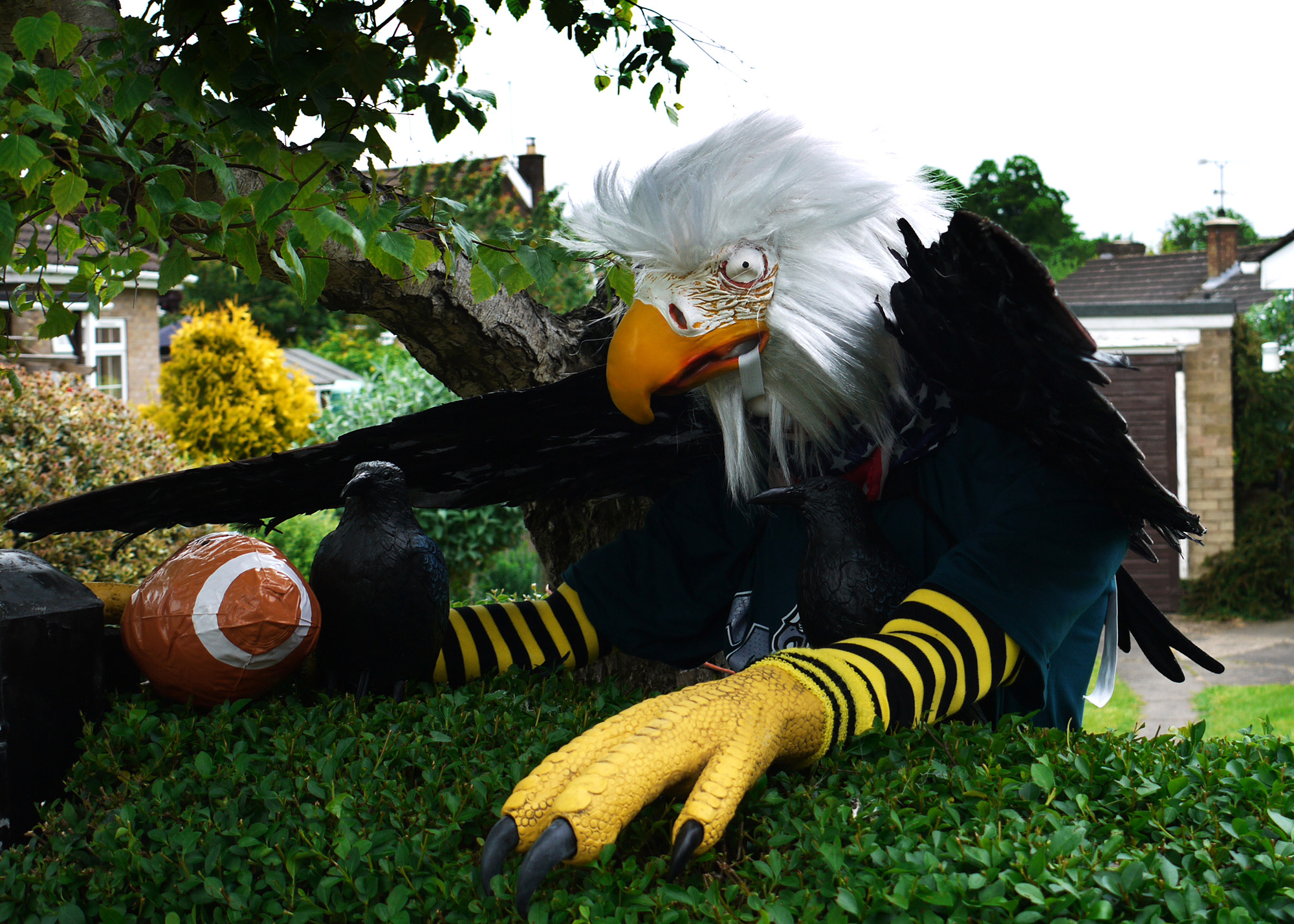 FEATHERED FOOTBALL FAN