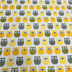 Hiboux jaune, gris