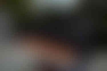 Shadow Mountain Residence fire feature