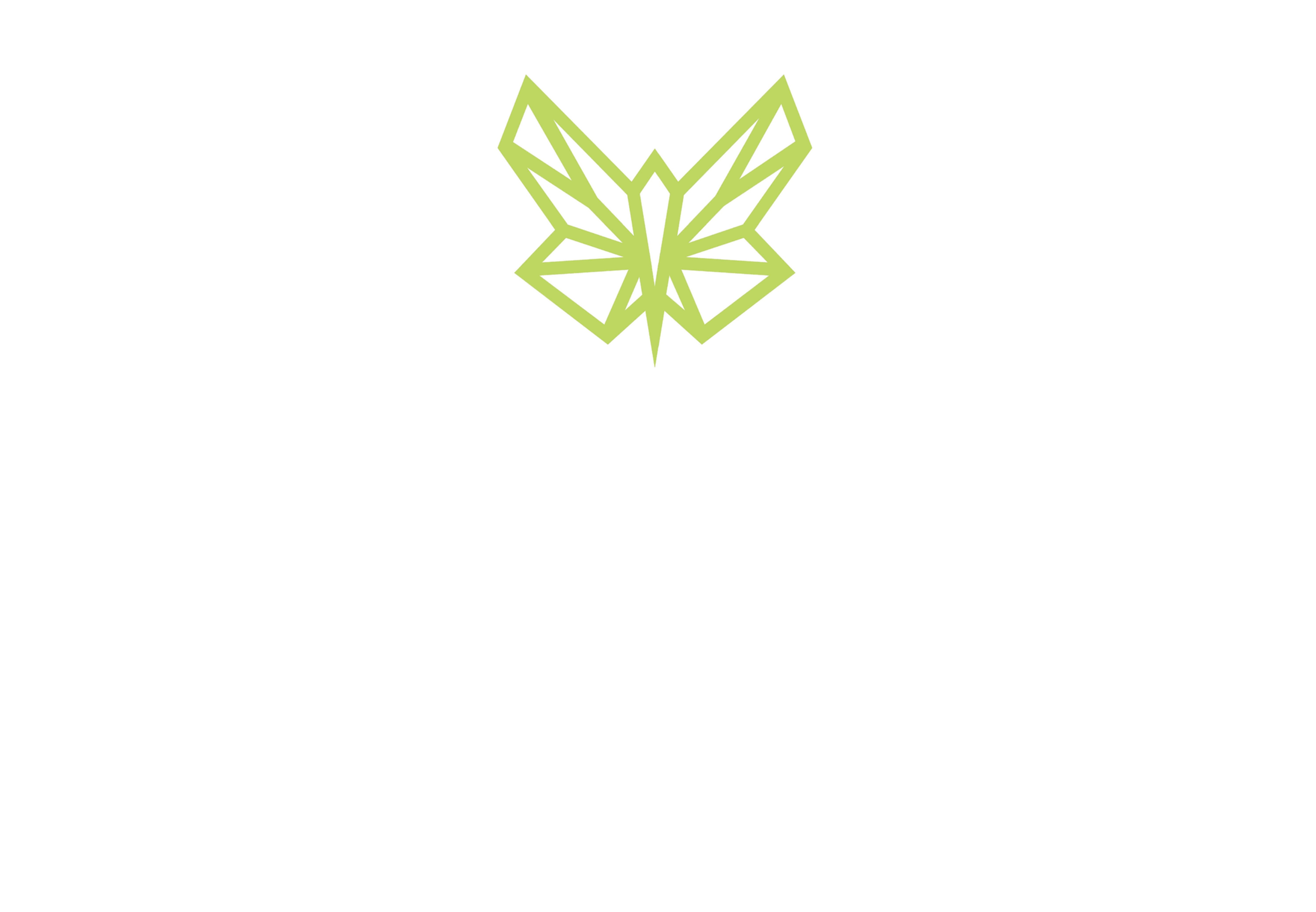 Plakat mit Green Butterfly Firmenlogo / zentriert-oben