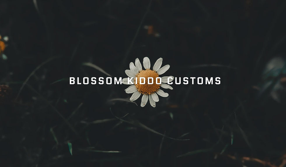 Screen Shot 2022-06-09 at 4_edited_edited.jpg