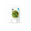 Miniatura: Moringa -  Deshidratada, Natural "Mas Life" x 100gr
