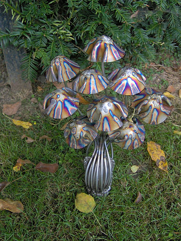 Streaky Mushrooms - Stanger Moore 