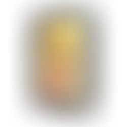 The HR Playbook: Your HR Career Survival Guide - Somaya M. Chaddha