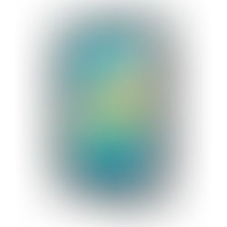 21 ENEMIES OF SUCCESS: A JOURNEY OF BELIEF, EFFORT AND SUCCESS FROM THIS BOOK - Mr. Ravalji Mularajsinh Vipendrsinh & Mr. Ravi Parmar