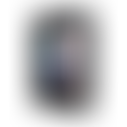 The Quantum Mind Book - Dr. Sunil Chhaya & Srinivas Darbha