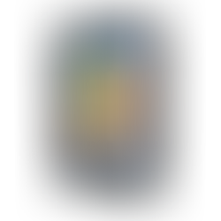 Will, Skill & Chill: Clues for overcoming your “Transition” Blues! (In a Post-Covid and AI-First World) – Jagan Mantha