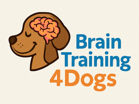 You Will Thank Us - 5 Tips About Braintraining4dogs You Need To Know