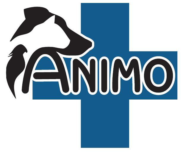 Dierenarts Sofie Huyberechts