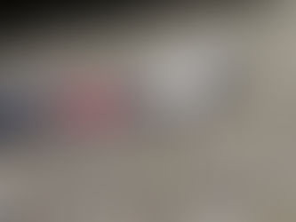 リードを付けて散歩