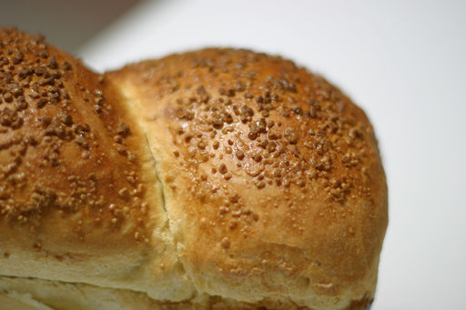 メイプルシュガーパン