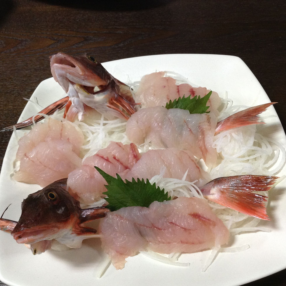 ホウボウのお造り