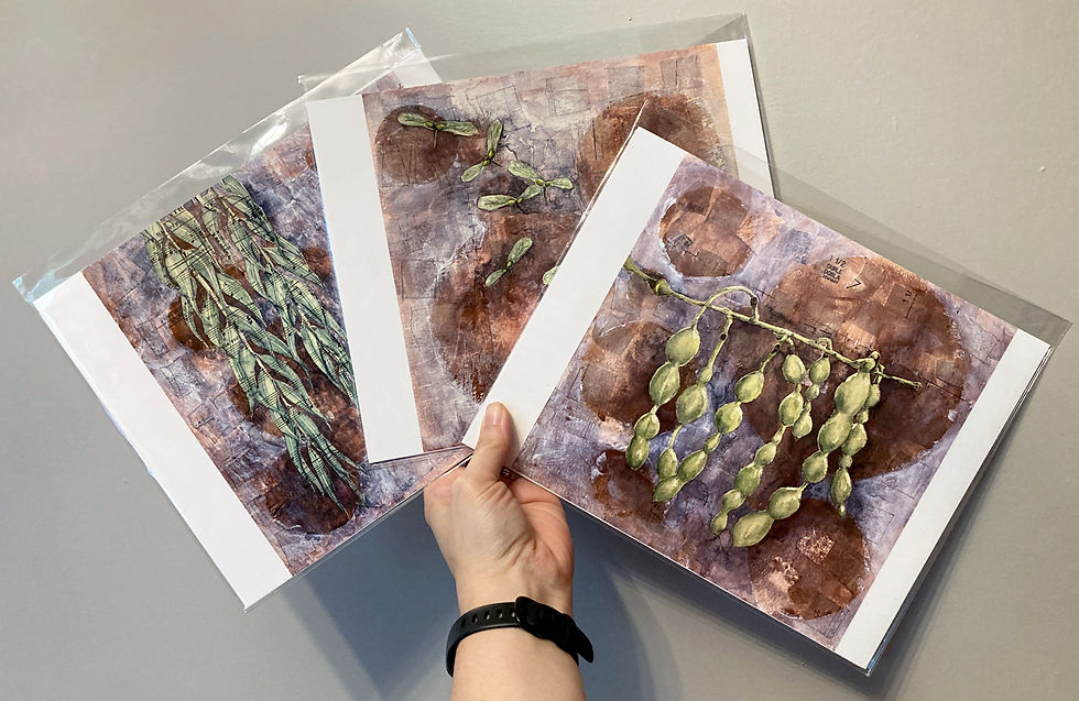 Thumbnail: Seeds, Pods, & Leaves Set