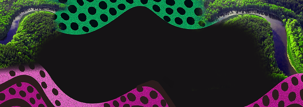banner-topo.png