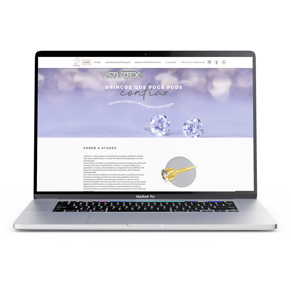 Studex | Concepção, planejamento e desenvolvimento site