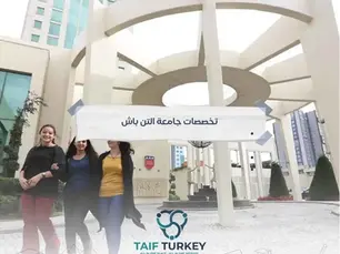 تخصصات جامعة التن باش