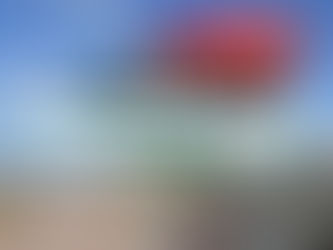 الدراسة في تركيا للطلاب الليبيين 2023