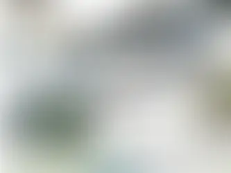 الرسوم الدراسية في جامعة انقرة للعلوم