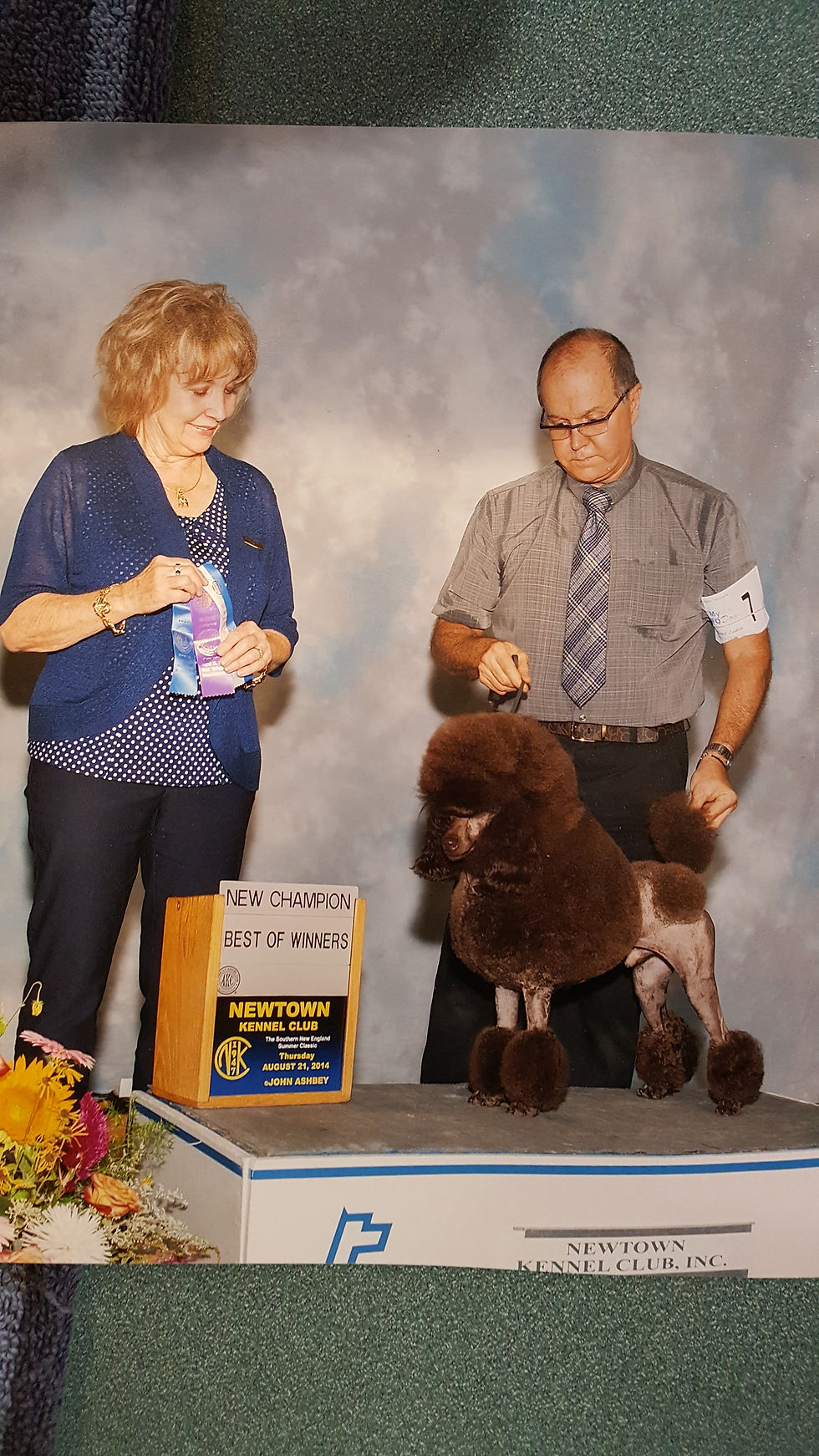 CH C-Brook's Dark And Stormy (Remy)