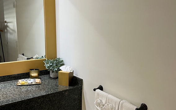 accessible king rollin shower 3.jpg