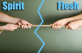 What have you experienced in your Awakening Journey?