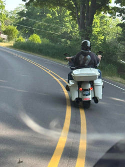 06042023 Brown Bear 10