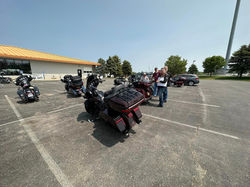 06042023 Brown Bear 04