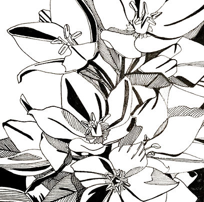 flor comunidad_edited_edited.jpg