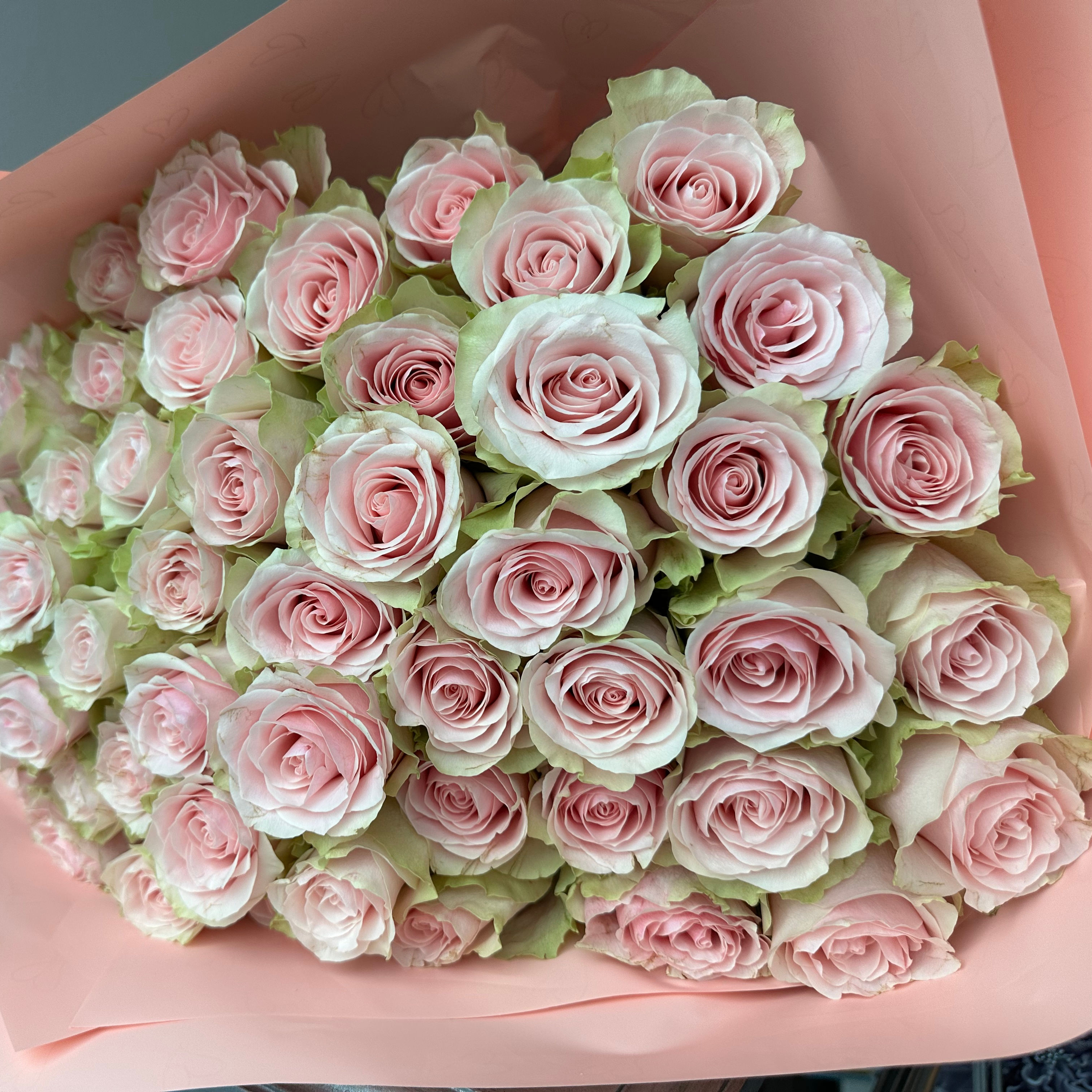 50 Roses 