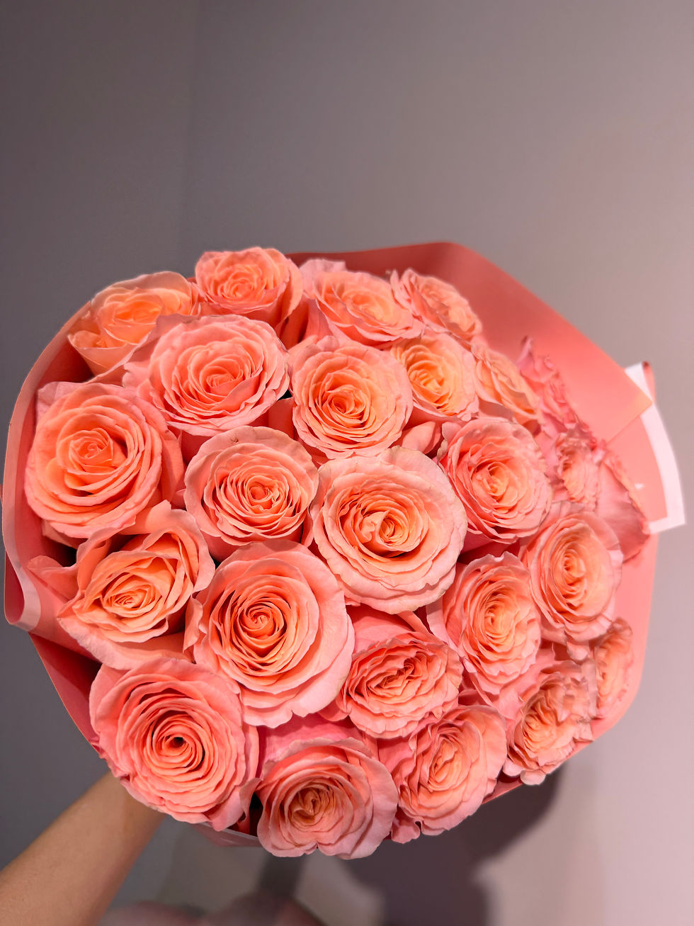Thumbnail: Coral pink rosa 