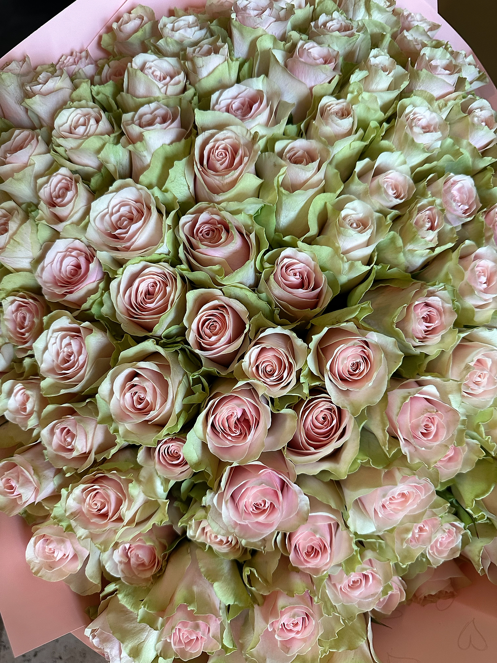 Thumbnail: 50 Roses 