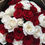 Thumbnail: 50 ♥️🤍 Roses