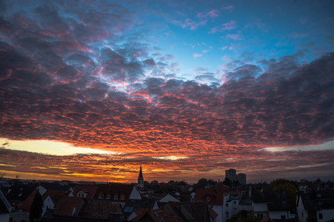 Hochheimer Abendstimmung