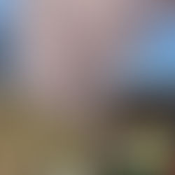 春は難しい季節かも、、、