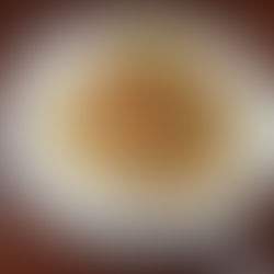 ⑭ 工事にかまけてブログの更新をさぼっていた件(すみませんでした)