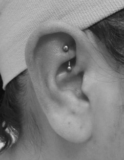 Rook