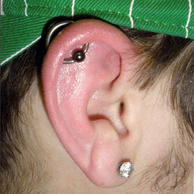 Orbital $89