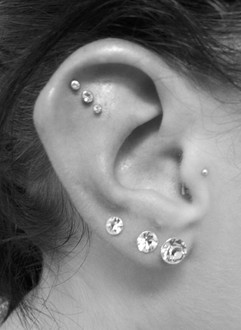 Outer Conch