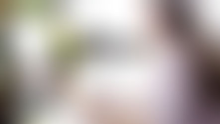 Calendario talleres online 