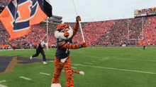 auburn-tigers-aubie-the-tiger.gif