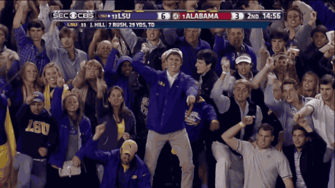 lsu2.gif