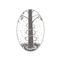 Little Springs Botanical Gardens logo