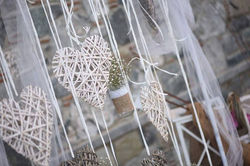 13342314_1297717376909891_1373299060_n